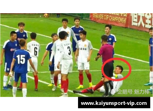奥特佳球员：超越赛场的巅峰之路