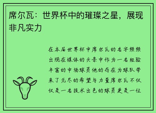 席尔瓦：世界杯中的璀璨之星，展现非凡实力