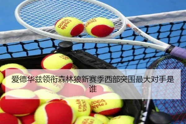 爱德华兹领衔森林狼新赛季西部突围最大对手是谁