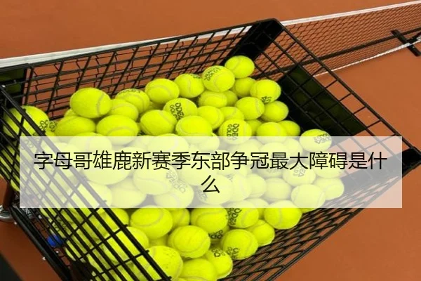 字母哥雄鹿新赛季东部争冠最大障碍是什么