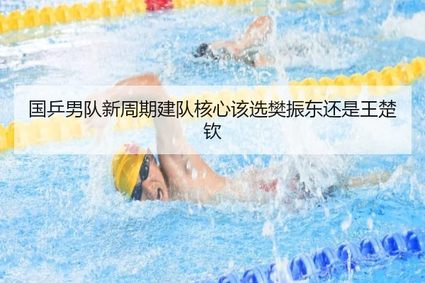 国乒男队新周期建队核心该选樊振东还是王楚钦
